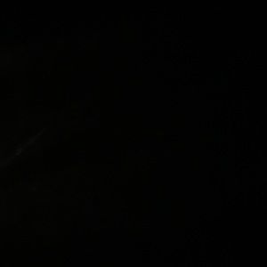 Meet your Posher, Cory